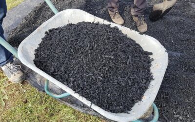 Carbon markets and biochar: a golden opportunity for NZ?